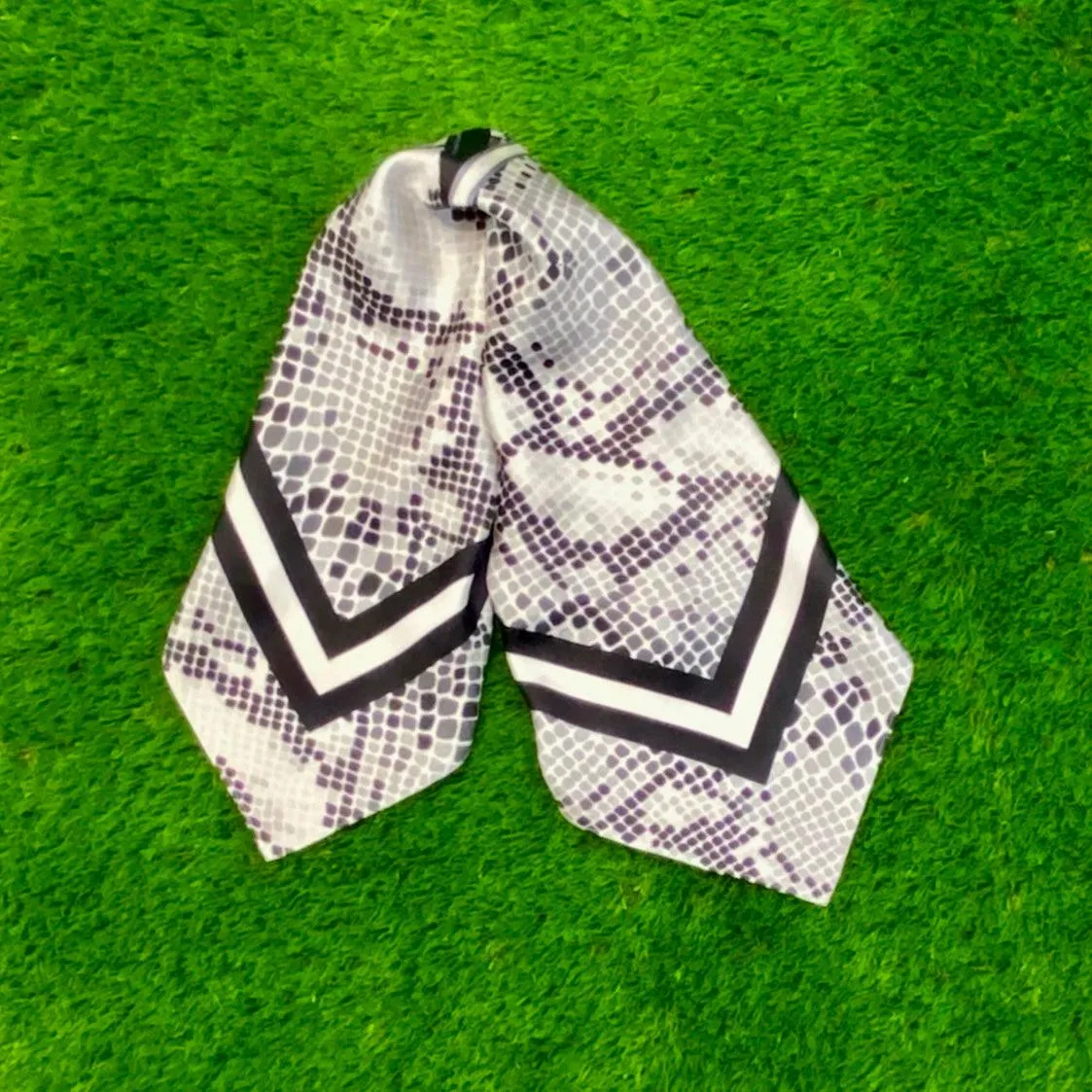 The Vandegrift Accessory Package