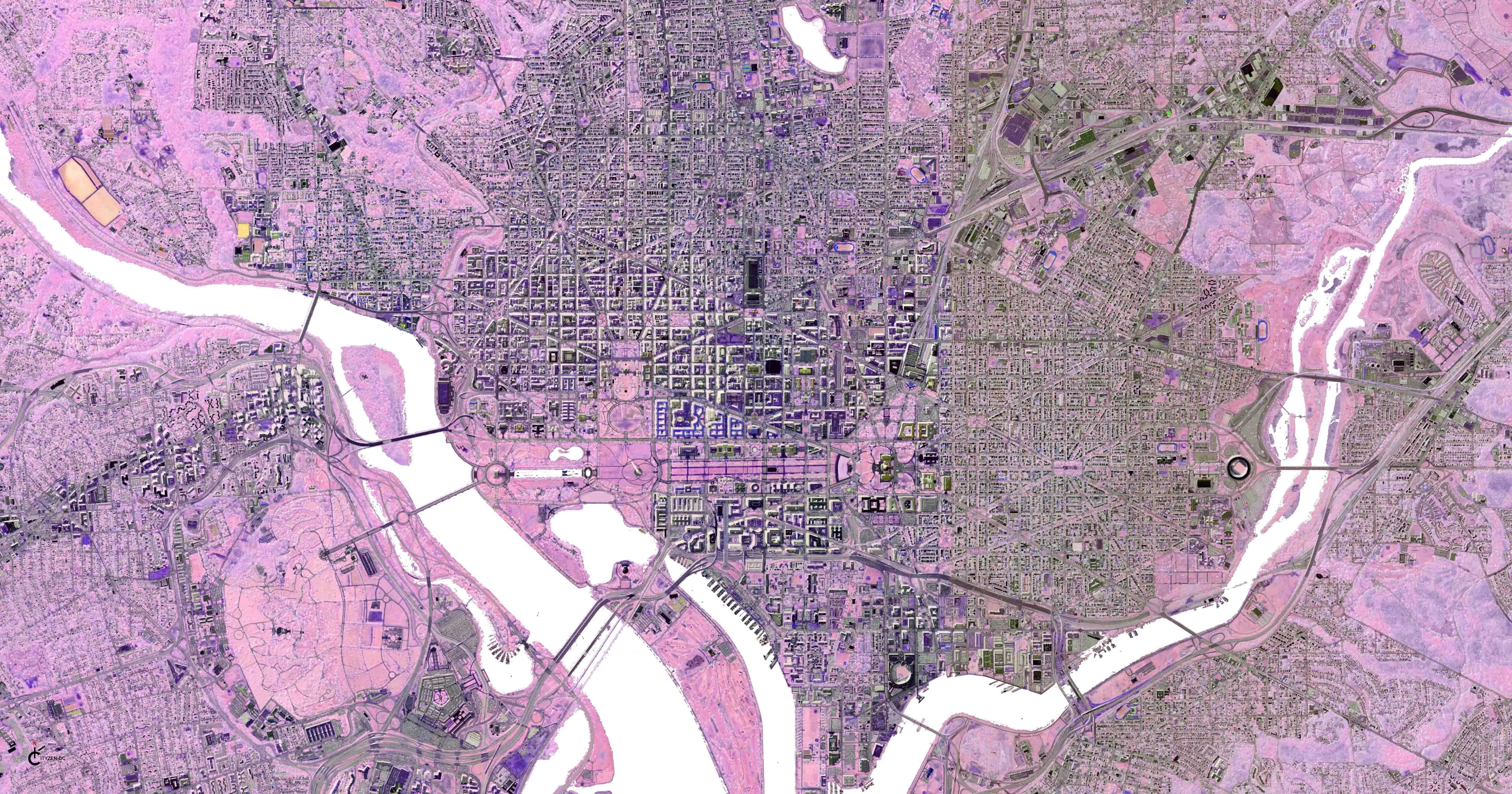 Washington D.C. Pink Rectangular Scarf